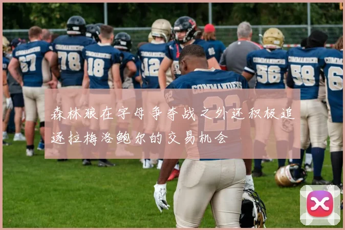 森林狼在字母争夺战之外还积极追逐拉梅洛鲍尔的交易机会